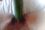 cucumber snapshot 8