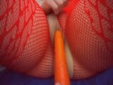 Kelinci merah menginginkan wortel yang besar snapshot 20