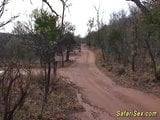 Wilde Afrikaanse jeepseksafari snapshot 1