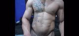 Muscle bull jerking big dick snapshot 11