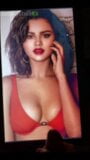 Cumtribute - Selena Gomez # 1 snapshot 2