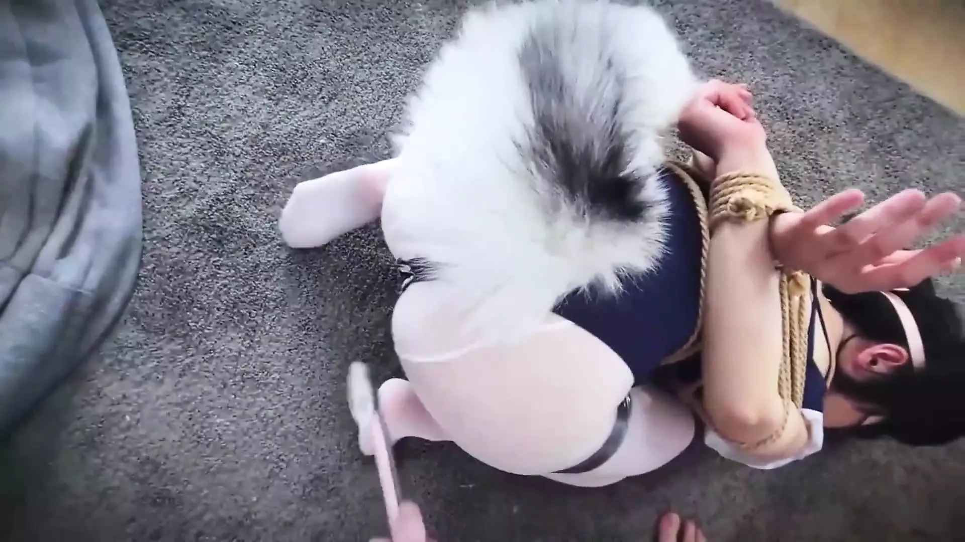 Cat Slave Girlfriend 01: Chinese Amateur Amateur Porn by FapHouse