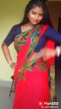 Wow what a saree snapshot 3