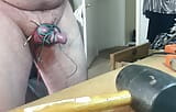 CBTluvr's 8 jan CBT show with alligator clips upside down balls bondage, needles, assfuck and cumshot ending snapshot 4