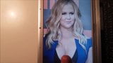 Трибьют спермы для Amy Schumer 3 snapshot 1