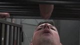 Rocco steele-caget perro enorme dick eater snapshot 9