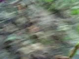 Деревенская тетушка трахается на улице snapshot 5