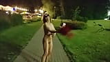 Puta amateur cachonda bailando desnuda en público Meando, parpadeando y tocando hasta el orgasmo. snapshot 10