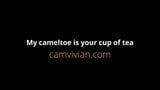 Mein Cameltoe ist deine Tasse Tee snapshot 1