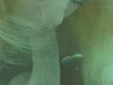 Aquatapes - sesso sott'acqua 2 snapshot 7