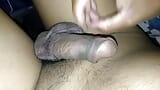 Flaccid Cock Soft Cock snapshot 2