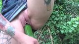 Milf with cucumber out side snapshot 3