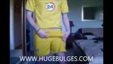 MONSTER BULGE snapshot 2