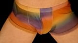 Sborra in pantaloncini a rete arcobaleno snapshot 4