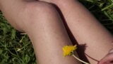 Dandelion, частина перша еротика snapshot 3