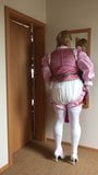 Dirndl with Diaper snapshot 7