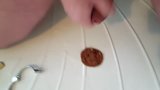 Cum covered chocolate cookie, task for Master roundpound snapshot 3