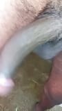 mature bisexual cuckold husband to drink my pee and suck me a lot and fuck snapshot 14