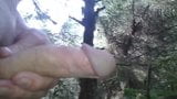 another wank in the forest snapshot 2