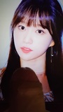 EXID hani cum tribute snapshot 1