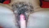 Hairy Bush snapshot 5