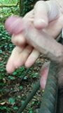 Stuck balls in forest and cum snapshot 3