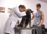 Joven propietario de perro se folla al veterinario en casa snapshot 1