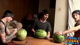 Heterosexuelle Typen ficken Wassermelonen, bis sie kommen snapshot 4