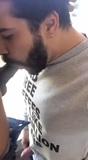 A great bearded sucker snapshot 6