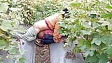 Indian Shemale Movies - Pooja Shemale Bhabhi Cotton Farming Coming e big age namorado Ass Lover - Desi Fucking - Hindi Voice snapshot 10