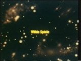 Wilde Spiele (Love Video) snapshot 1