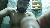 Bathroom masterbating videos snapshot 4