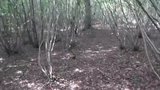 Slut Wife Hooded in Forest and Fucked 2 snapshot 1