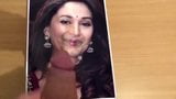 Madhuri dixit cum tribute snapshot 7