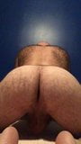 hairy bear cub ass close up snapshot 4