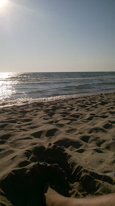 Ekshibicjonizm na plaży | xHamster