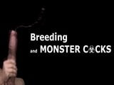 Breeding and monster cocks (gay compil) snapshot 1