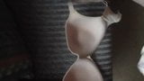 Panty and bra wank snapshot 1