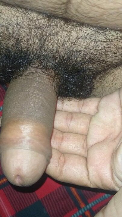 Menunjukkan zakar