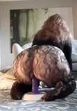 Gorgeous fat ass riding a dildo snapshot 2