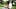 Тройничок с большими натуральными сиськами студенческой девушки Ayda Swinger - Безнравственное видео от первого лица, 4K