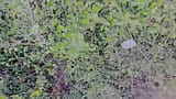 Indiana universitária faz sexo ao ar livre na selva Foda na buceta da floresta pública, boquete muito arriscado com áudio hindi claro snapshot 1