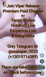 Desi Tango Privatshow 47889 snapshot 11