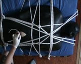 Grey and white - Slave is in the neoprene bodybag snapshot 13