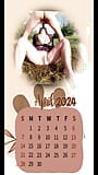 ¿Necesitas un calendario? snapshot 4