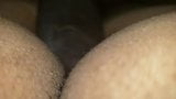 Long Cock Creamy Pussy snapshot 2