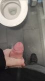 Public restroom wank snapshot 1