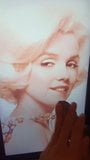 Marilyn Monroe pancut pada penghormatan snapshot 10