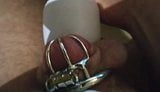 Edging my little nub in chastity snapshot 2