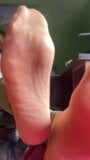 Nylons feet. My soles in shiny tights to worship snapshot 5